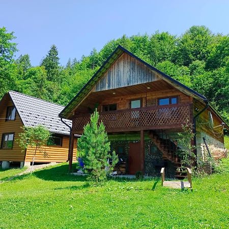 Під Горою Villa Sheshory Bagian luar foto