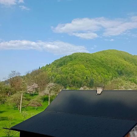 Під Горою Villa Sheshory Bagian luar foto