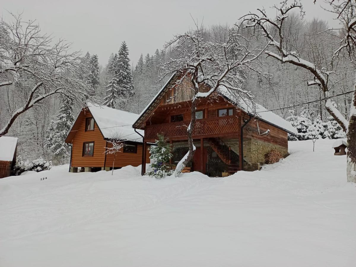 Під Горою Villa Sheshory Bagian luar foto