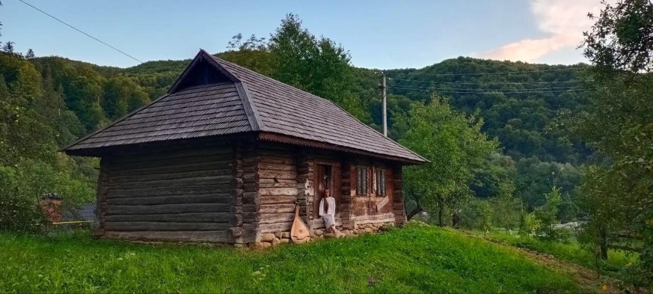 Під Горою Villa Sheshory Bagian luar foto
