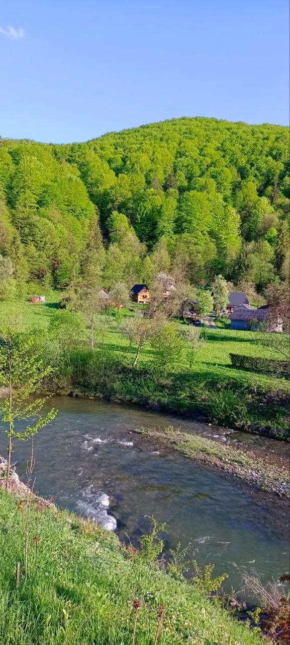 Під Горою Villa Sheshory Bagian luar foto