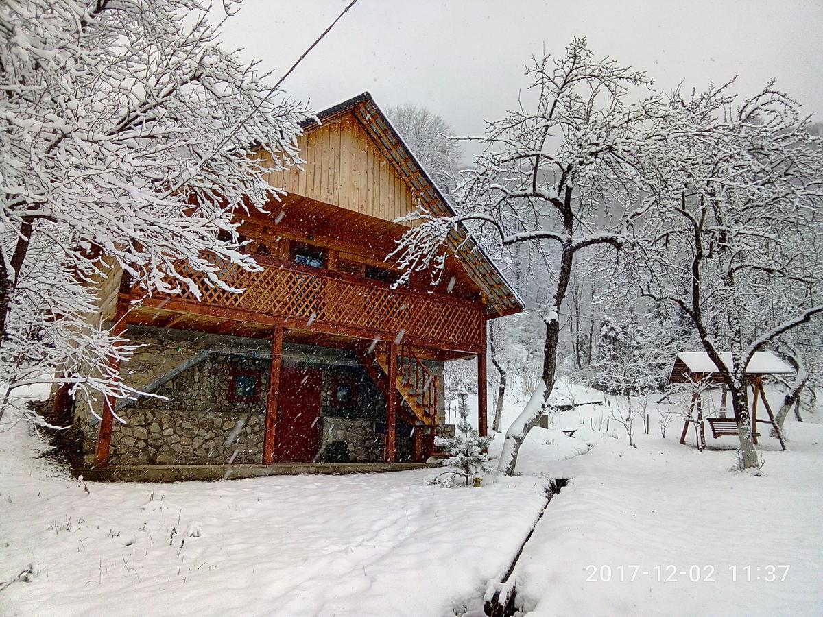 Під Горою Villa Sheshory Bagian luar foto