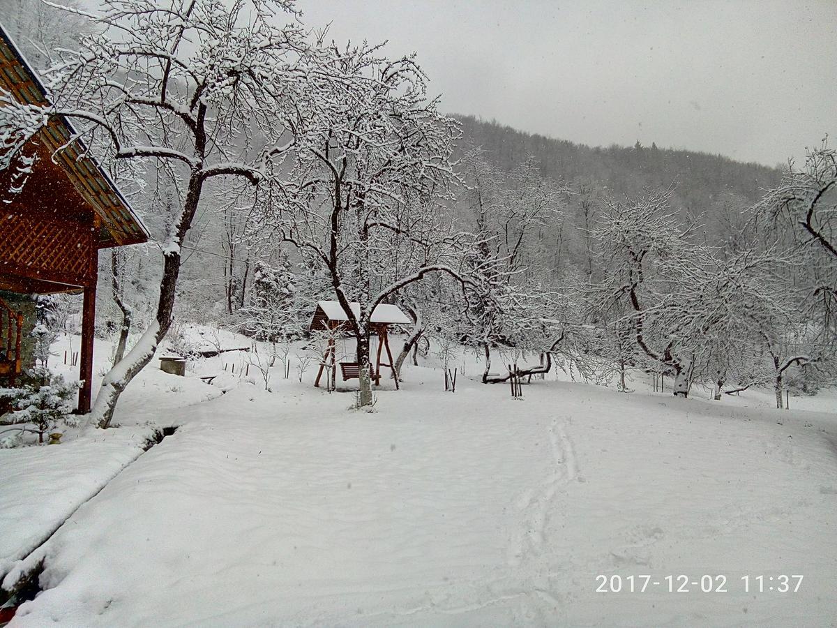 Під Горою Villa Sheshory Bagian luar foto