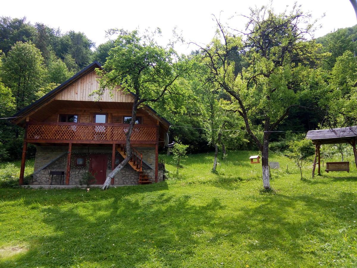 Під Горою Villa Sheshory Bagian luar foto